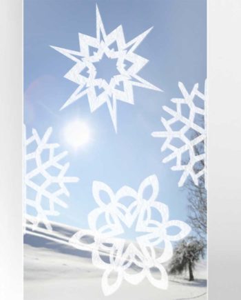 Gecko in the Box X-Mas Large