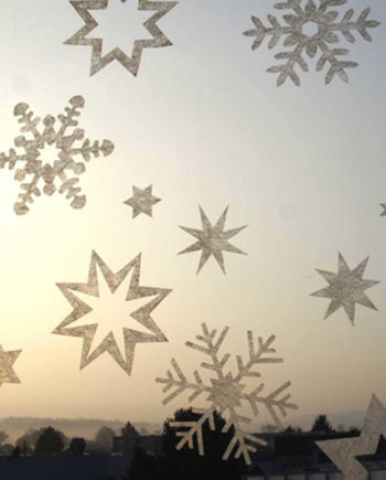 Gecko in the Box X-Mas