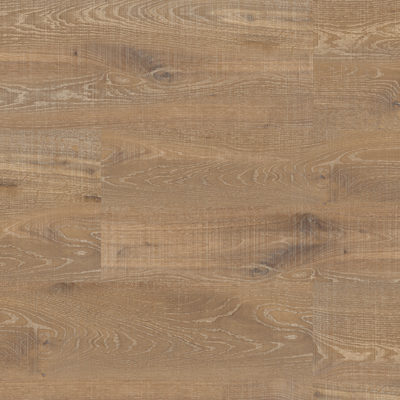 Micodur-Japanische-Eiche