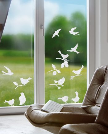 Gecko in the box Papageno