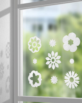 Gecko in the Box Florea