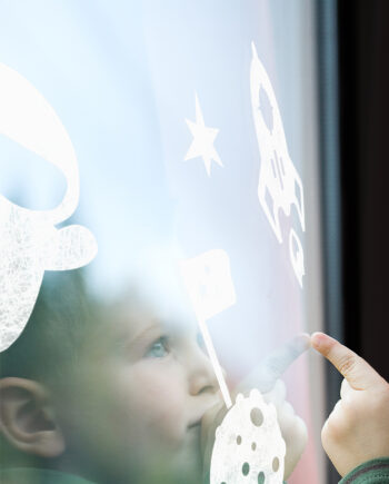 Gecko in the Box Cosmos